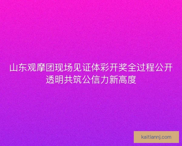 山东观摩团现场见证体彩开奖全过程公开透明共筑公信力新高度