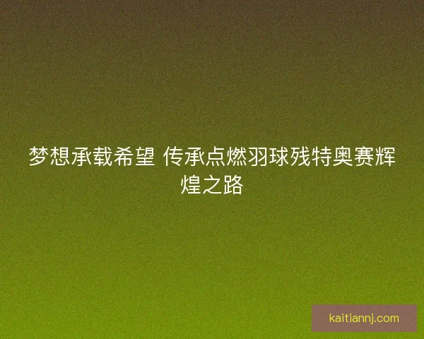 梦想承载希望 传承点燃羽球残特奥赛辉煌之路
